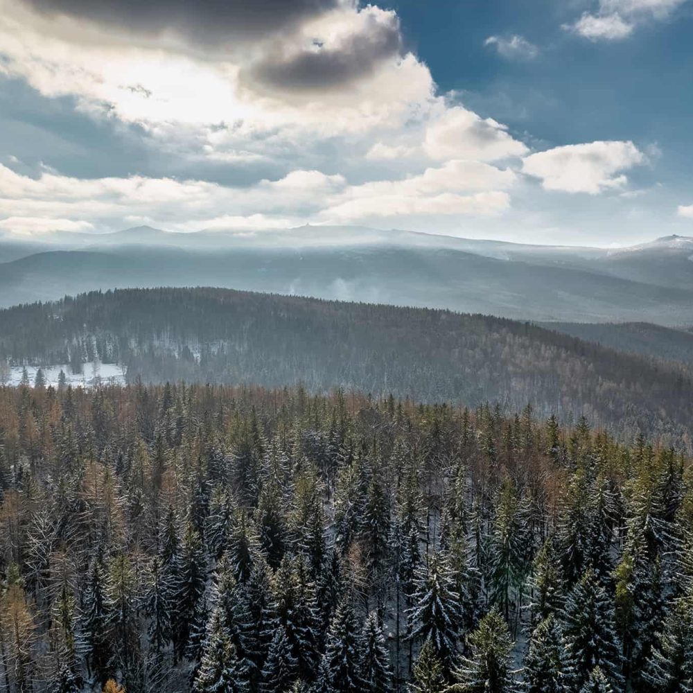 Adam Dokrzewski - resized (15)